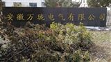 安徽萬瓏電氣有限公司