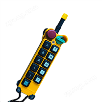 F24-10D+工業(yè)遙控器